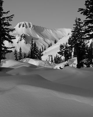 IMG_0468-mono8x10.jpg