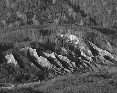 IMG_0783-mono8x10.jpg