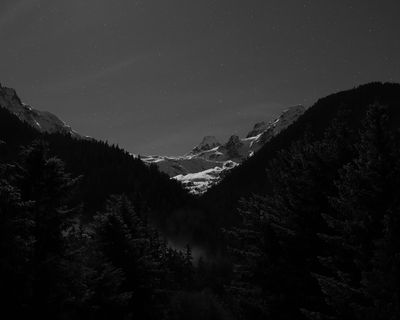 IMG_6514-8x10mono.jpg