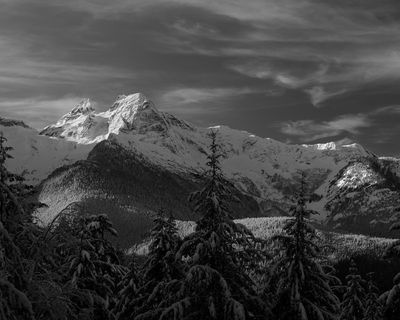 IMG_6972-mono8x10.jpg
