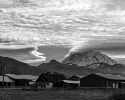 IMG_7451-mono8x10.jpg