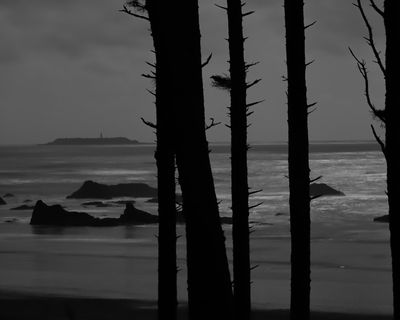 IMG_8340-8x10mono.jpg