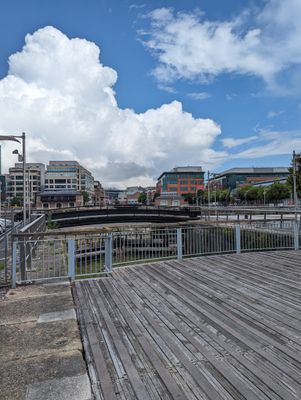 PXL_20230620_104458742.jpg