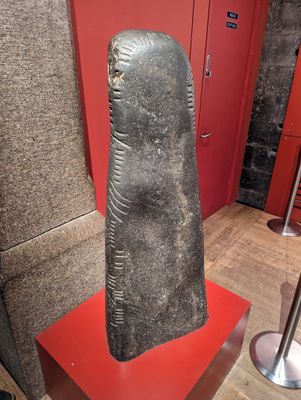 PXL_20230622_074226689.jpg