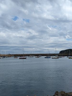 PXL_20230625_122350887.jpg