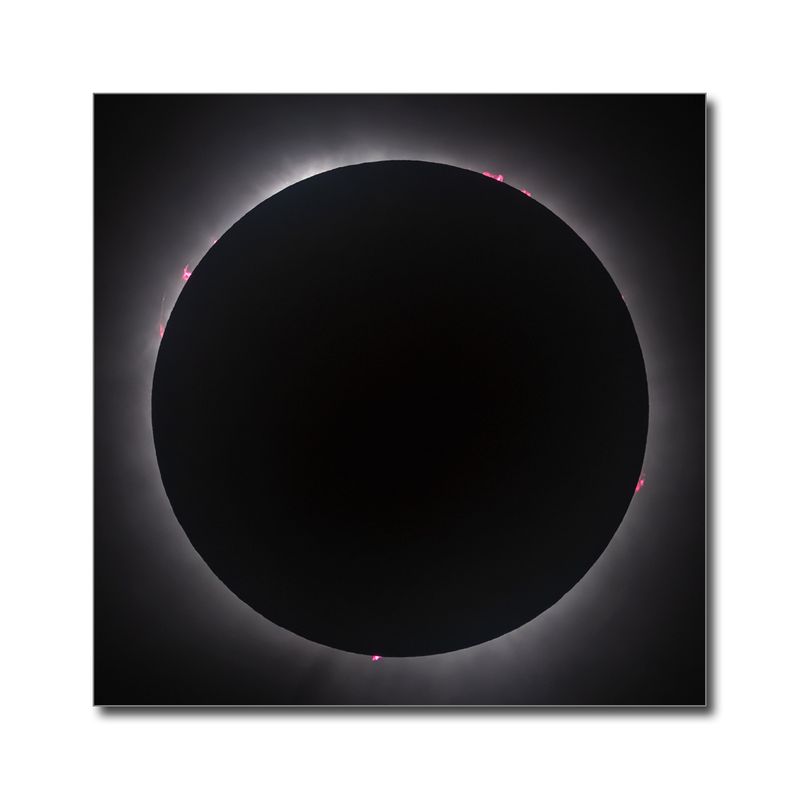 Totality Showing Solar Prominences