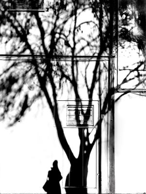 g13/71/632171/3/174903305.44020dbd.JPEG