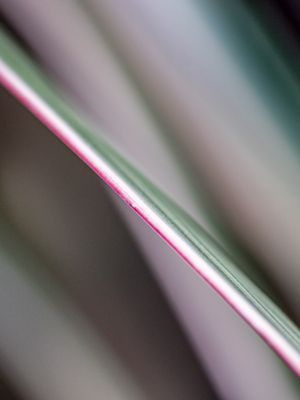 g13/71/632171/3/175452442.1b1b53b3.JPEG