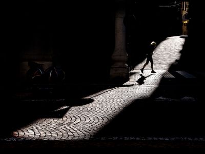 In a sunbeam