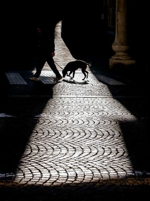 In a sunbeam