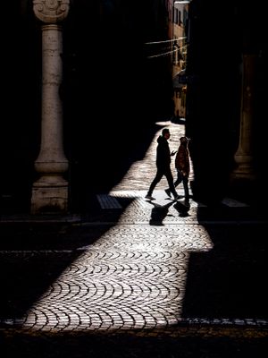 In a sunbeam