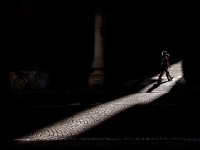 In a sunbeam