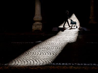 In a sunbeam