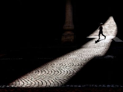 In a sunbeam