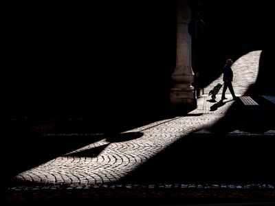 In a sunbeam