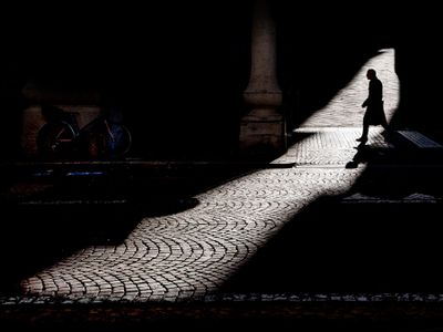 In a sunbeam