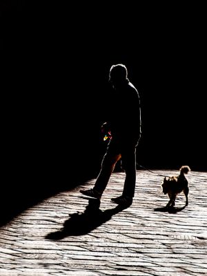 Light and dark