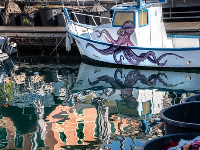 Darsena / Tourist harbour