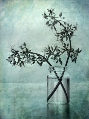 Still life Flowers