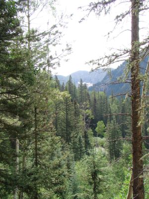 Getting Closer to the Basin