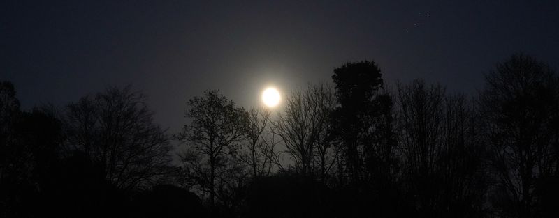 moon_kennoway_16Nov24_1.JPG