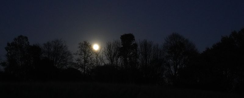 moon_kennoway_16Nov24_2.JPG