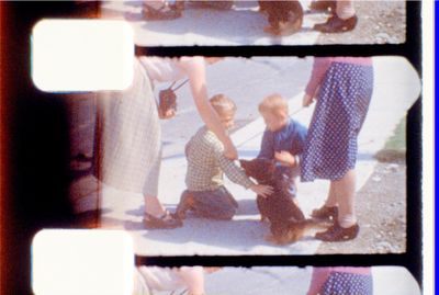 8mm_FW4E4172_003205.jpg