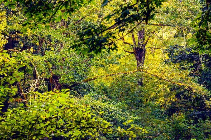 RasarPark080924.jpg