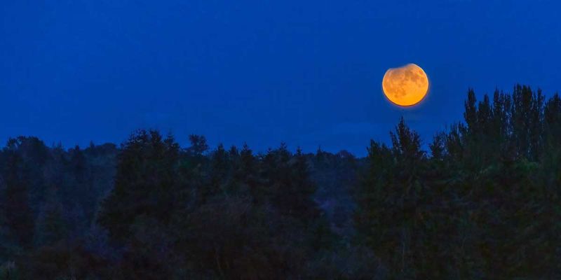 eclipsemoonBow091724.jpg