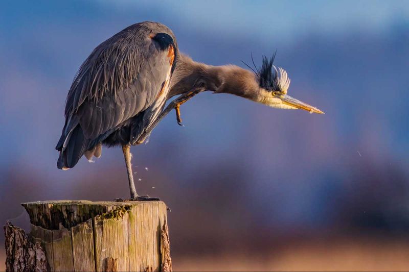 GBH112924.jpg