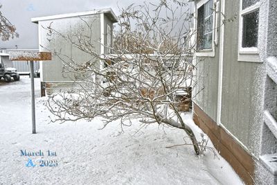 g13/72/197472/3/173441713.b53487d3.JPEG
