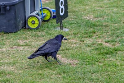 IMG_1397.jpg