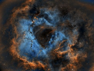 Rosette_9_24.jpg