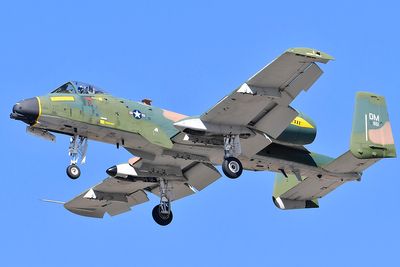 _WJP7625 copy.jpg