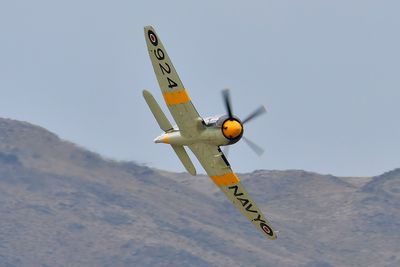 _WJP9211 copy.jpg