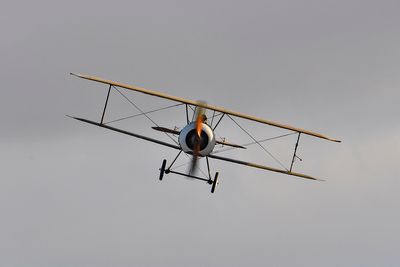 _WJP1120 copy.jpg