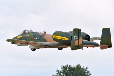 _WJP4031 copy.jpg