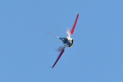 _WJP6885 copy.jpg