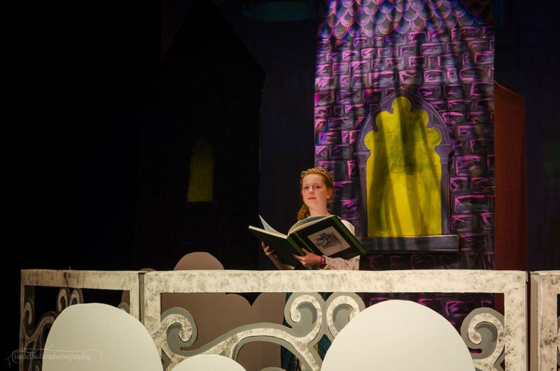 FLMS-Shrek25-173.JPG