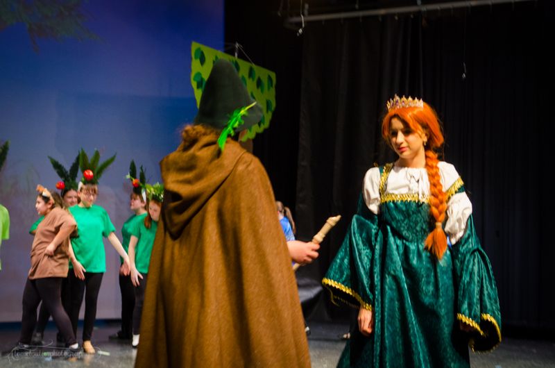 FLMS-Shrek25-310.JPG