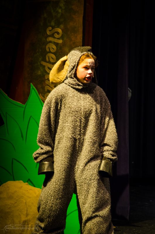 FLMS-Shrek25-420.JPG