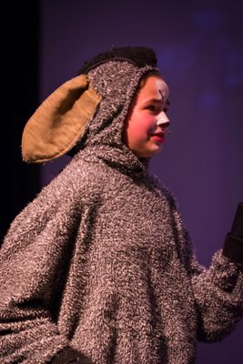 FLMS-Shrek25-84.JPG