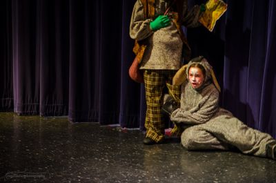 FLMS-Shrek25-100.JPG