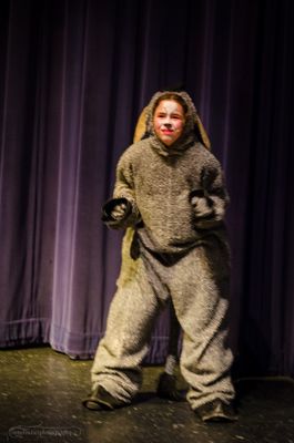 FLMS-Shrek25-256.JPG