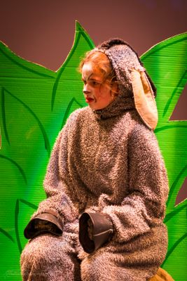 FLMS-Shrek25-276.JPG