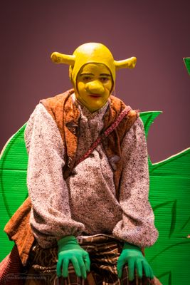 FLMS-Shrek25-277.JPG