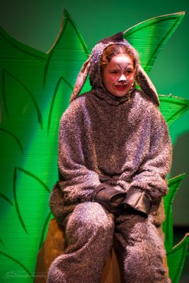 FLMS-Shrek25-300.JPG