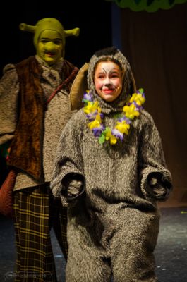 FLMS-Shrek25-328.JPG
