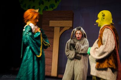 FLMS-Shrek25-347.JPG