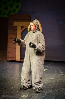 FLMS-Shrek25-350.JPG